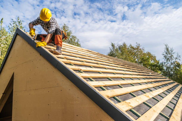Best Roof Gutter Cleaning  in Hibbing, MN